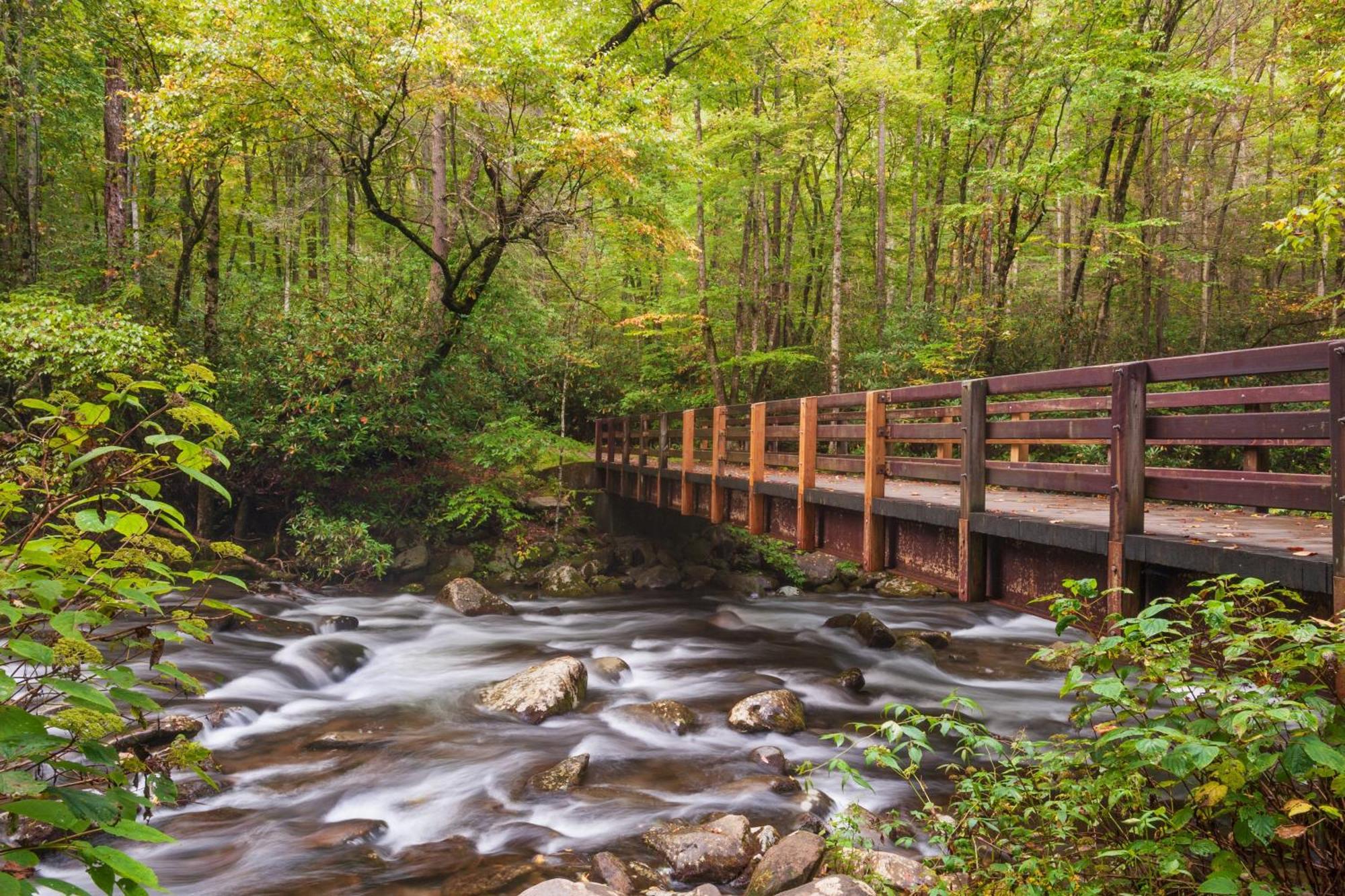 The Mason Jar, Hot Tub, Wifi, 1089 Free Tickets Each Paid Day, Dollywood And More! พิเจนฟอร์จ ภายนอก รูปภาพ